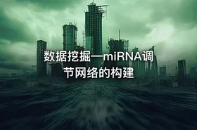数据挖掘—miRNA调节网络的构建