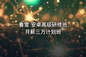 看雪 安卓高级研修班 月薪三万计划班 - getfromcode