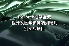 PyTorch框架全流程开发医学影像端到端判别实战项目