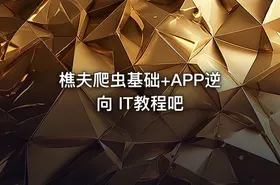 樵夫爬虫基础+APP逆向 IT教程吧