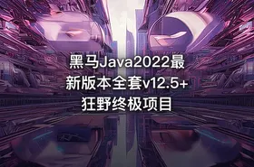 黑马Java2022最新版本全套v12.5+狂野终极项目