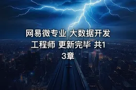 网易微专业 大数据开发工程师 更新完毕 共13章