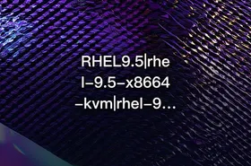 RHEL9.5|rhel-9.5-x8664-kvm|rhel-9.5-x8664-dvd