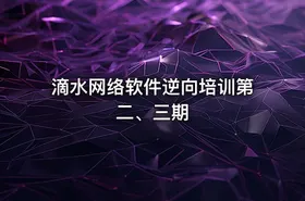 滴水网络软件逆向培训第二、三期