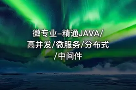微专业-精通JAVA/高并发/微服务/分布式/中间件