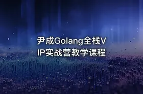 尹成Golang全栈VIP实战营教学课程