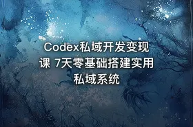 Codex私域开发变现课 7天零基础搭建实用私域系统