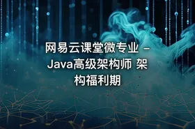 网易云课堂微专业 - Java高级架构师 架构福利期