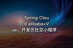 Spring Cloud alibaba+Vue，开发仿社交小程序（高清完结无密）