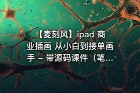 【麦刻风】ipad 商业插画 从小白到接单画手 - 带源码课件（笔刷）
