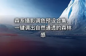 森系摄影调色预设合集，一键调出自然通透的森林感
