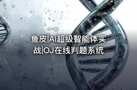 鱼皮|AI超级智能体实战|OJ在线判题系统 - getfromcode