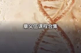 章义伍课程合集