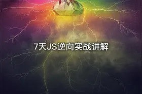 7天JS逆向实战讲解 - getfromcode