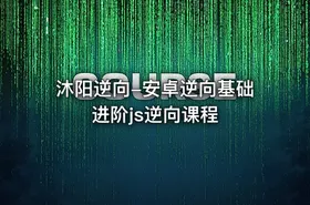 沐阳逆向-安卓逆向基础进阶js逆向课程