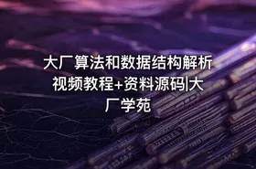 大厂算法和数据结构解析视频教程+资料源码|大厂学苑