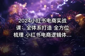 2024小红书电商实战课：全体系打造 全方位梳理 小红书电商逻辑体系 (42节)
