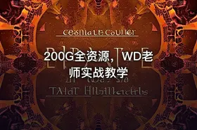 200G全资源，WD老师实战教学