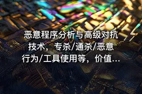 恶意程序分析与高级对抗技术，专杀/通杀/恶意行为/工具使用等，价值799