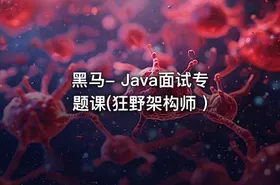 黑马- Java面试专题课(狂野架构师 ) - getfromcode