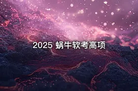 2025 蜗牛软考高项