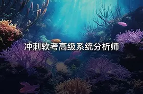 冲刺软考高级系统分析师