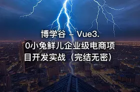博学谷 - Vue3.0小兔鲜儿企业级电商项目开发实战（完结无密）