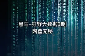 黑马-狂野大数据5期|网盘无秘