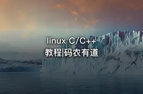 linux C/C++ 教程|码农有道