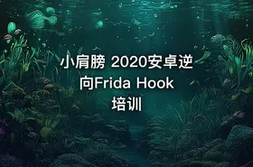 小肩膀 2020安卓逆向Frida Hook培训