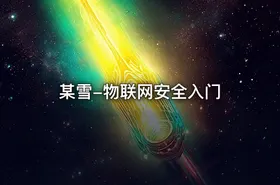 某雪-物联网安全入门