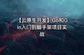 【云原生开发】Go和Gin入门到脚手架项目实战 - getfromcode