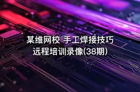某维网校 手工焊接技巧远程培训录像(38期)