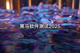 黑马软件测试2025