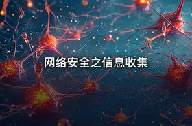 网络安全之信息收集