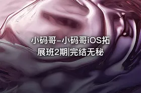 小码哥-小码哥iOS拓展班2期|完结无秘