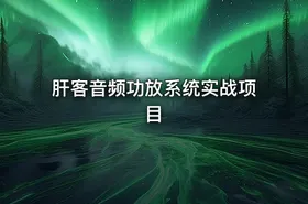 肝客音频功放系统实战项目