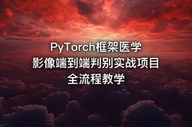 PyTorch框架医学影像端到端判别实战项目全流程教学
