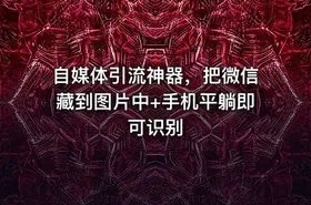 自媒体引流神器，把微信藏到图片中+手机平躺即可识别