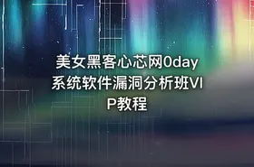 美女黑客心芯网0day系统软件漏洞分析班VIP教程