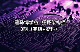 黑马博学谷-狂野架构师3期（完结+资料） - getfromcode