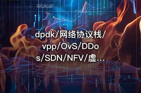 dpdk/网络协议栈/vpp/OvS/DDos/SDN/NFV/虚拟化/高性能专家之路|零声