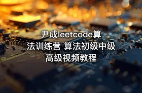 尹成leetcode算法训练营 算法初级中级高级视频教程