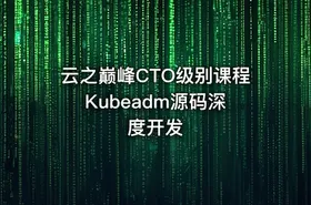 云之巅峰CTO级别课程 Kubeadm源码深度开发