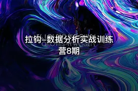 拉钩-数据分析实战训练营8期