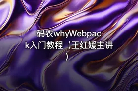 码农whyWebpack入门教程（王红媛主讲）