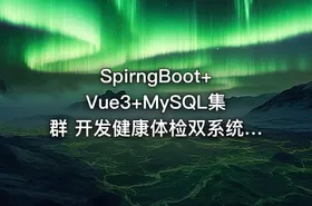 SpirngBoot+Vue3+MySQL集群 开发健康体检双系统（高清完结无密）