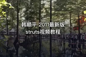 韩顺平 2011最新版 struts视频教程 - getfromcode
