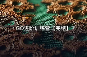 GO进阶训练营【完结】