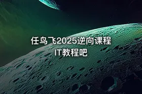 任鸟飞2025逆向课程 IT教程吧